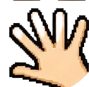 Hand